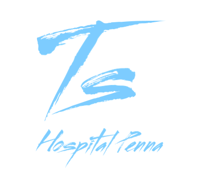 TS Logo
